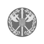 sluzhba sudovoi ohorony Служба судової охорони
